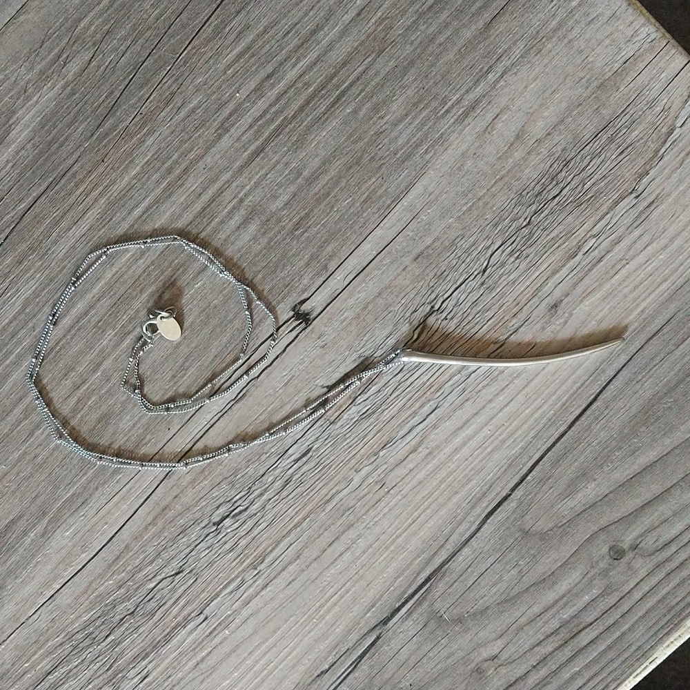Charming Charlie Spike Necklace